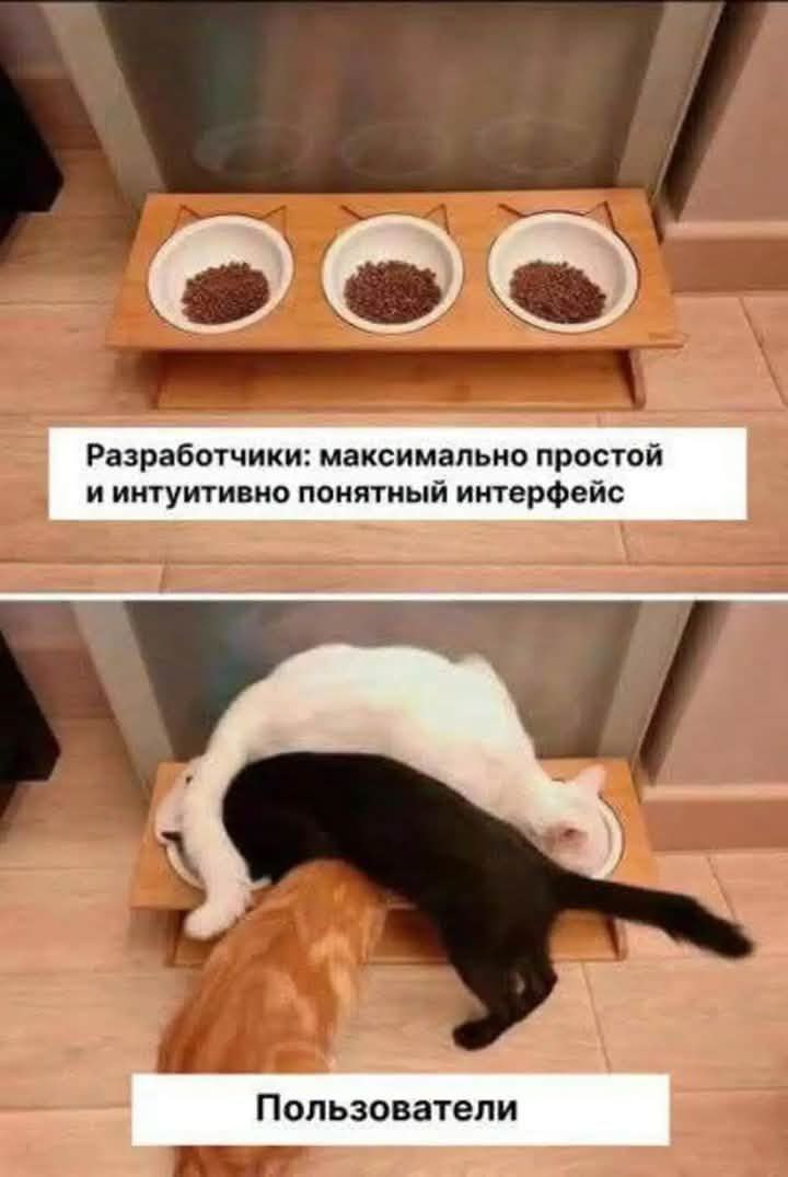 Котики